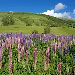 : Le Crystal Lägenhet Les Deux Alpes