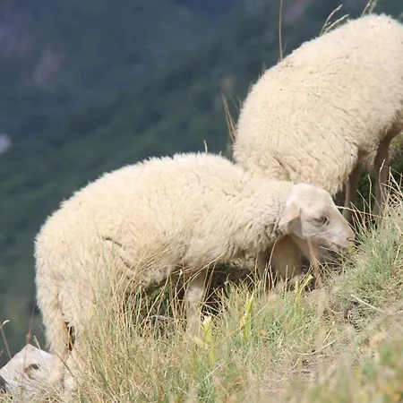 Appartement : Le Crystal *