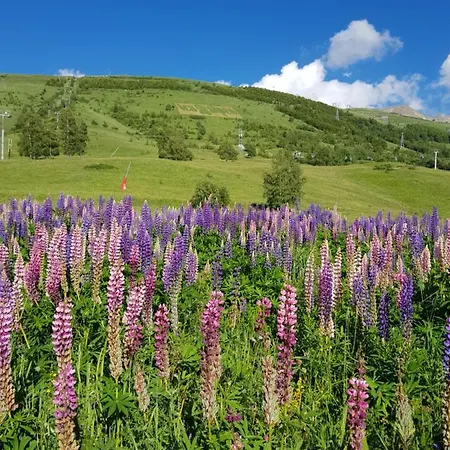 Résidence : Le Crystal Appartement Les Deux Alpes