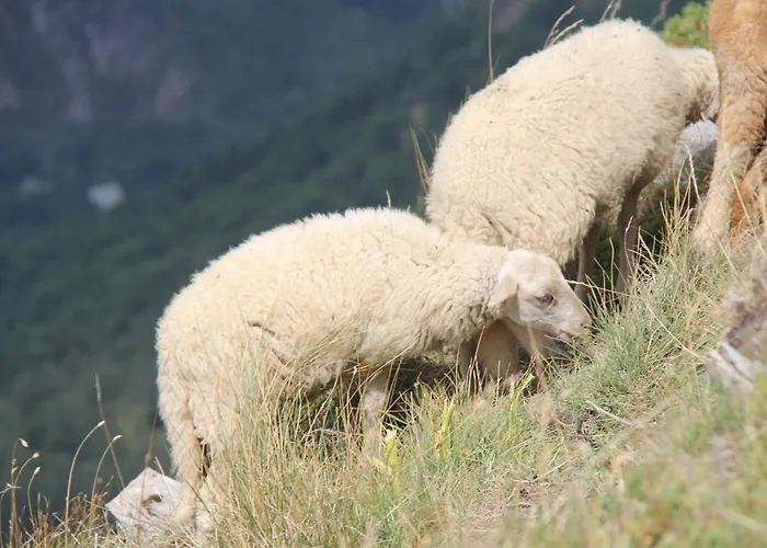 Апартаменты : Le Crystal *