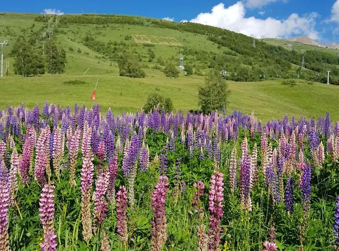 : Le Crystal Апартаменты Ле дез Альп